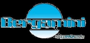 Bergamini Rettificatrici